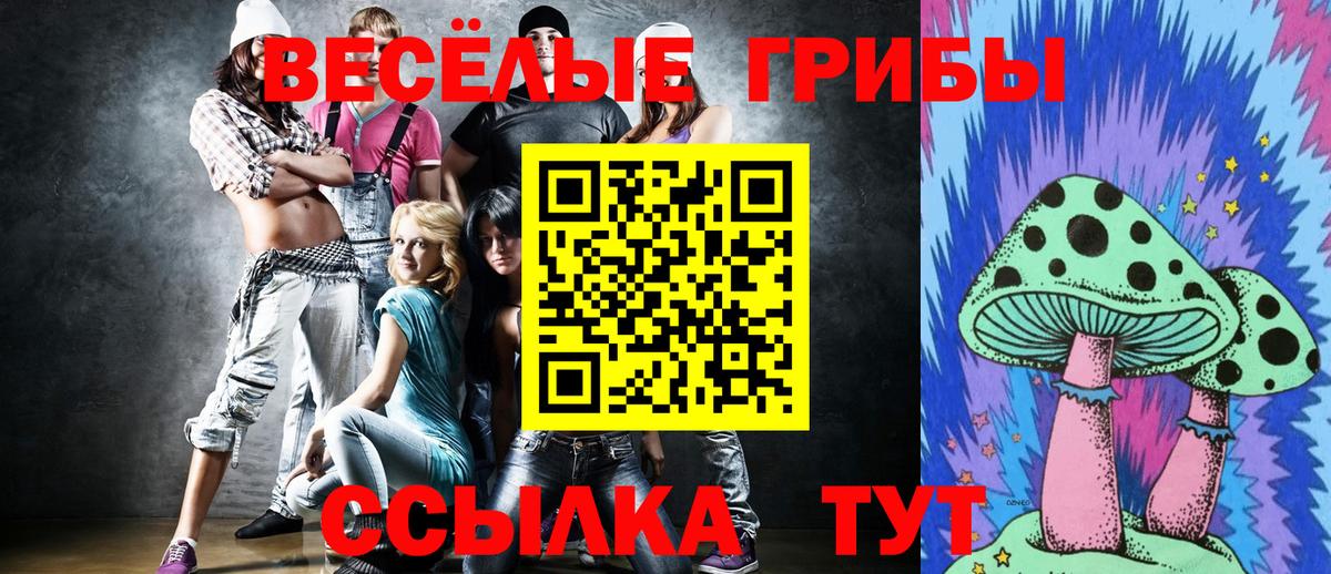 Псилоцибиновые грибы Cubensis Балахна