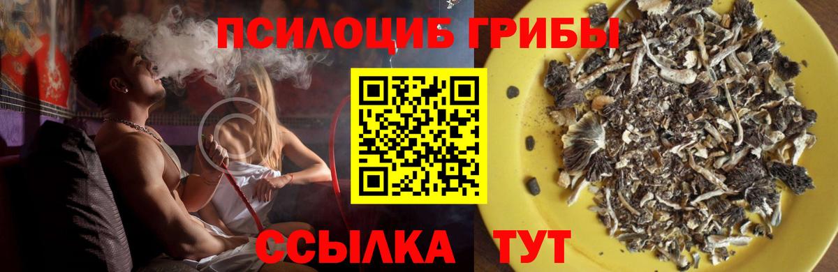 Псилоцибиновые грибы мицелий  Вход с VPN  продажа наркотиков  Балахна 